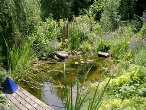 Teich mit Quellstein